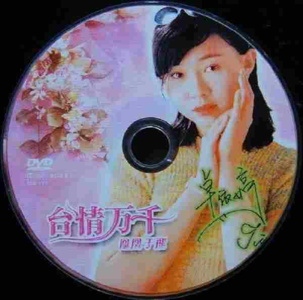 原版DVD镜像-卓依婷林正桦台情万千[VOB]