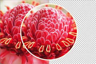 Photoshop入门:各种形状工具绘制形状