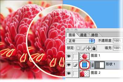Photoshop入门:各种形状工具绘制形状