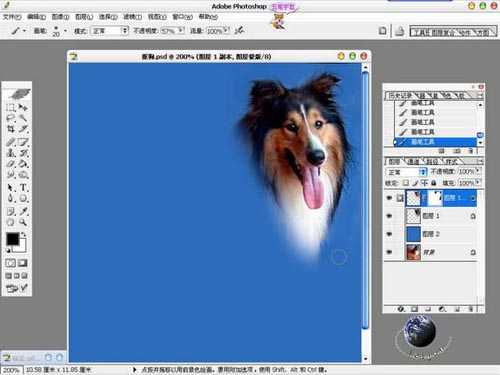 photoshop 利用橡皮及蒙版抠出长毛的小狗