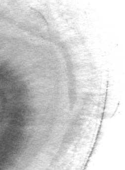 Photoshop打造简洁的水墨风格名片