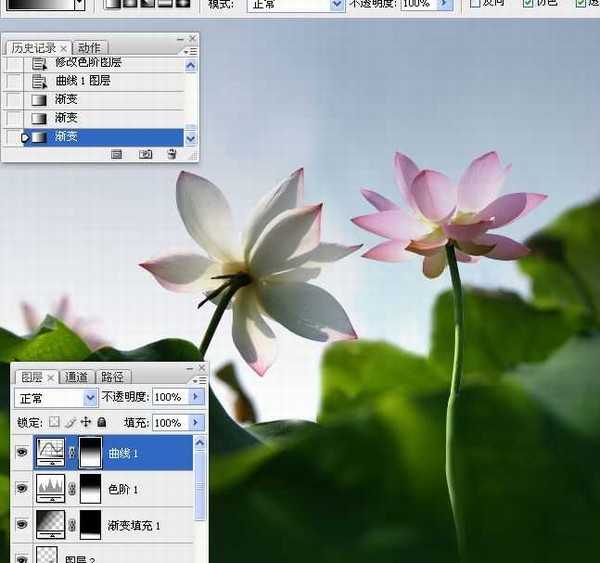 photoshop合成制作蓝天下清爽的荷花美图