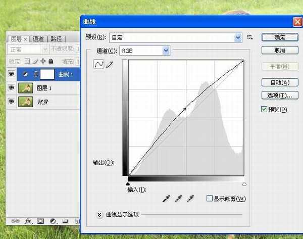 Photoshop为草地美女调制出朦胧日系清新淡雅效果