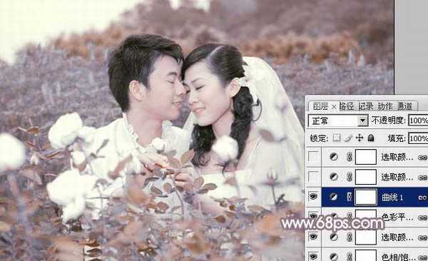 Photoshop为玫瑰园婚照调制出蓝紫中性色