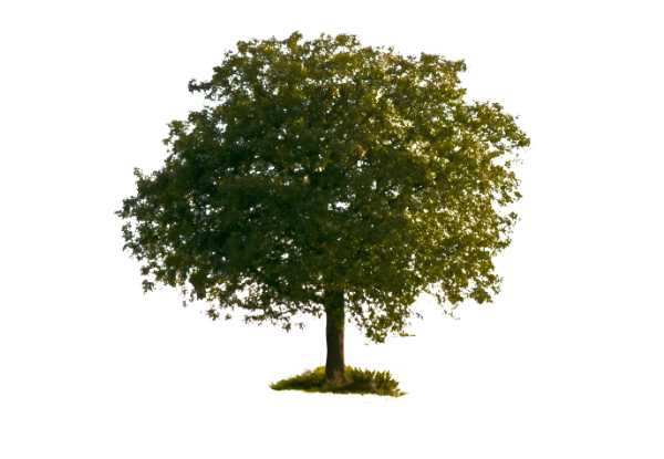 PhotoShop(PS)基础知识:蒙版的使用技巧实例教程