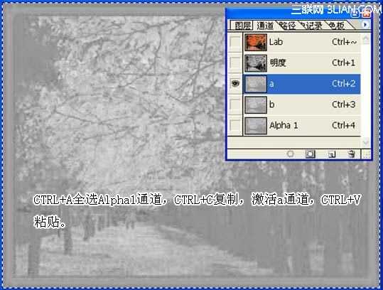 PS用计算和通道打造另类色调效果