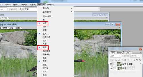 如何用ps做动态图?教你用PS制作GIF动态闪图