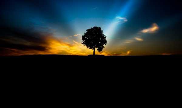 教你用PS直方图如何判断一张照片的曝光是否完全准确?