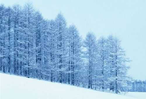 冬季拍摄冰雪场景的技巧有哪些?