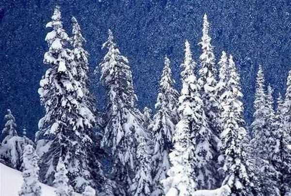 冬季拍摄冰雪场景的技巧有哪些?