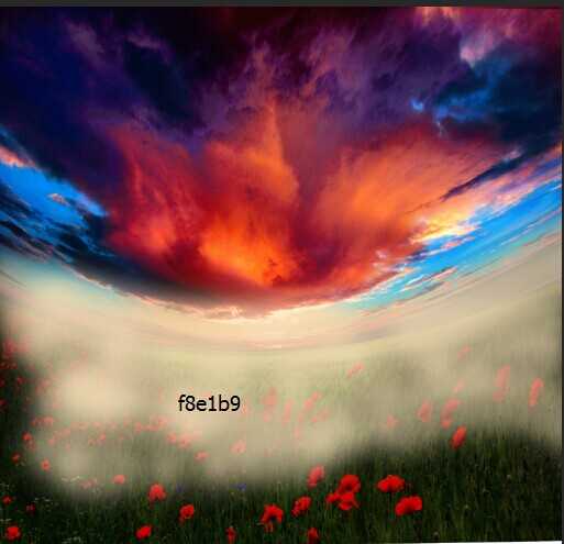 PS制作合成霞光中在花海起舞女孩的鱼眼镜头效果