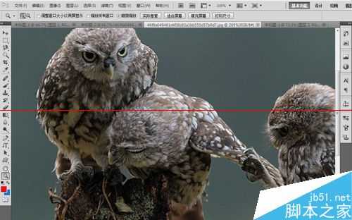 ps中如何缩放图片大小?PS中快速缩放界面大小的三种教程