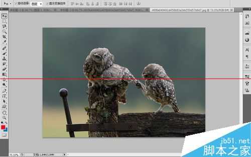 ps中如何缩放图片大小?PS中快速缩放界面大小的三种教程
