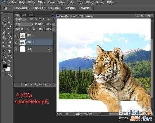 ps文字的变形应用实例详解:制作爱护大自然logo