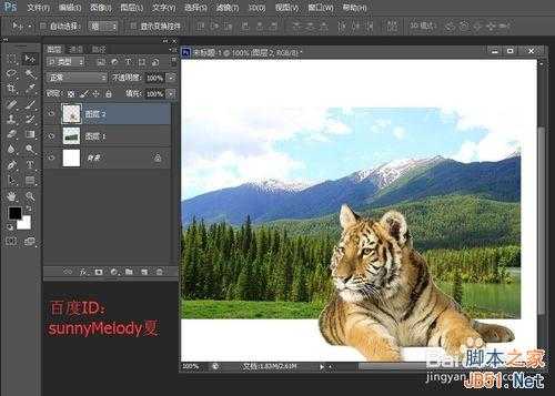 ps文字的变形应用实例详解:制作爱护大自然logo