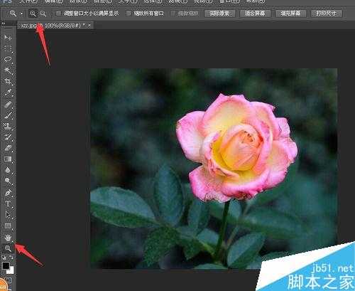 PS怎么将图片内容抠出来?PS抠图方法图解