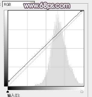 Photoshop调制出柔和的中性黄褐色外景人物图片