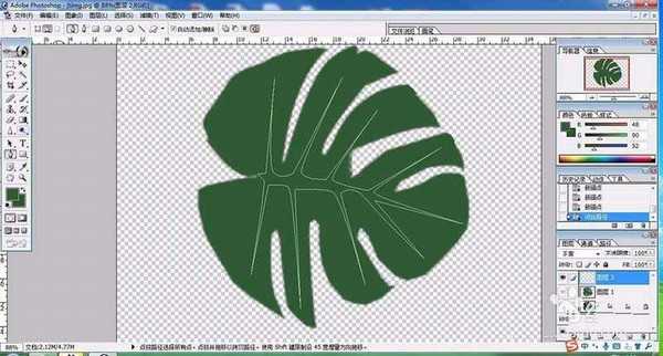 ps怎么手绘龟背竹的叶子?