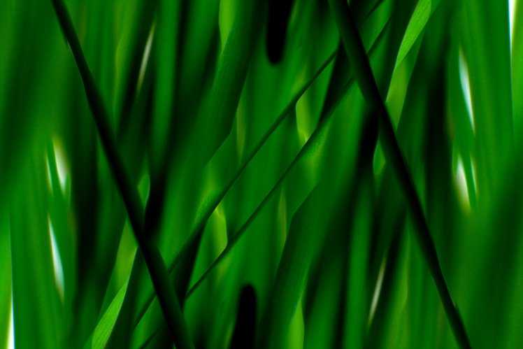 怎样照抽象相片 拍出抽象艺术相片的5个小技巧