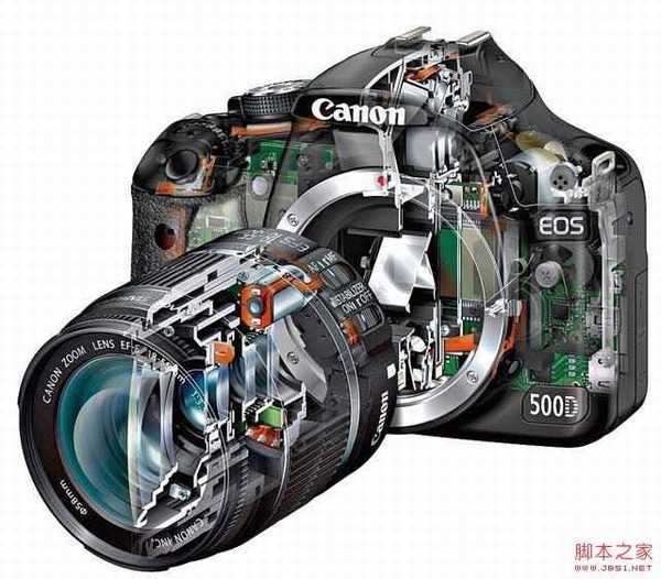 新手必学拍摄时数位单眼相机该如何对焦?