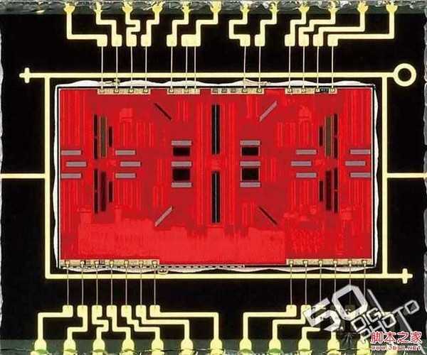 新手必学拍摄时数位单眼相机该如何对焦?