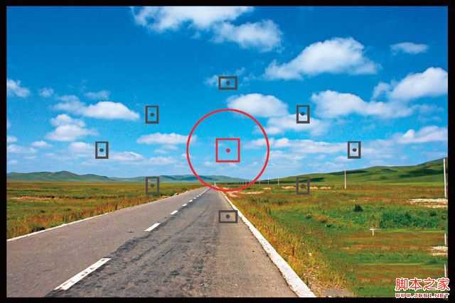 新手必学拍摄时数位单眼相机该如何对焦?