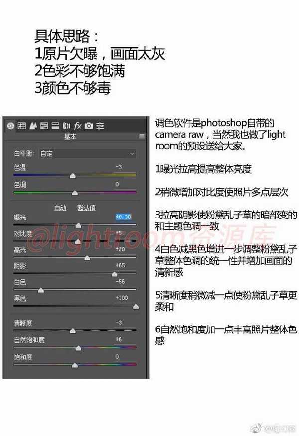 ps后期如何把灰蒙蒙的粉黛乱子草调成清新的仙女粉？