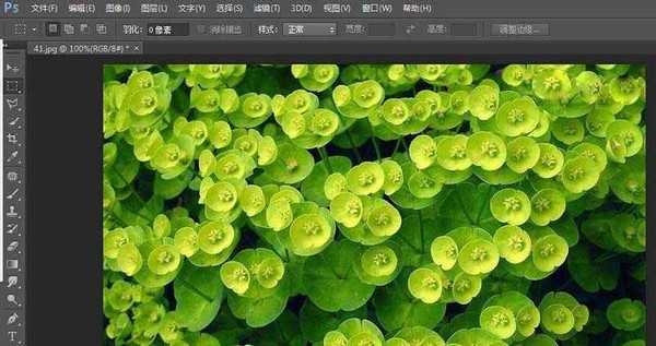 ps怎么复制粘贴图片部分内容?