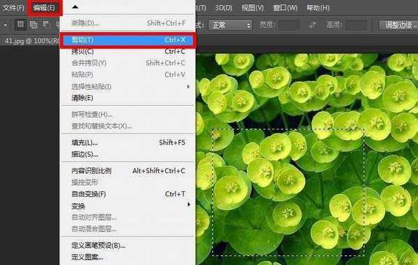 ps怎么复制粘贴图片部分内容?