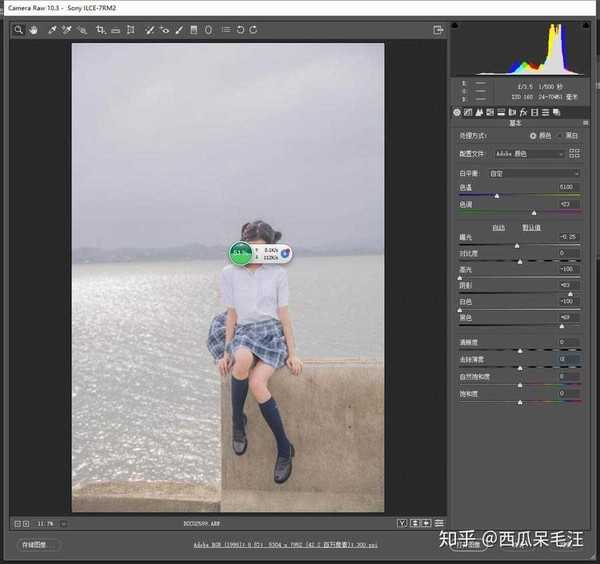 ps调色教程 如何调出淡雅小清新的照片