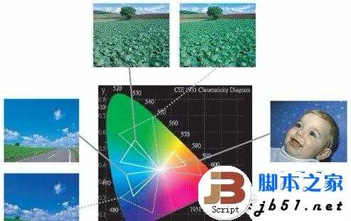 液晶屏幕知识大全 细数显示屏幕最容易被人忽悠的参数